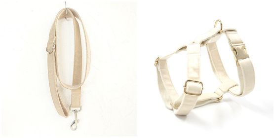 Dog collar traction rope (Option: Set-M)